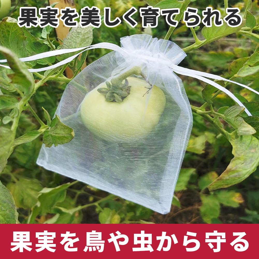 トマトに装着した果実保護ネット